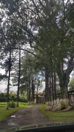 Imagem 4 de 23 de Sítio À Venda, 36000 M² Por R$ 1.800.000,00 - Itapety - Mogi Das Cruzes/sp - Si0011