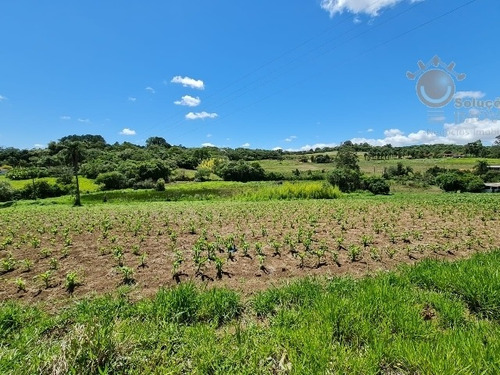Imagem 6 de 30 de Venda - Sítio Zona Rural / Piedade/sp - 5789