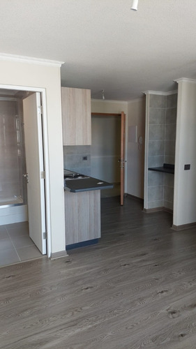 Comodo Y Estupendo Home Estudio En El Centro De Concepción