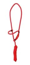 Comprar Cabresto De Regulagem P Cavalo Corda Poli - Varias Cores!