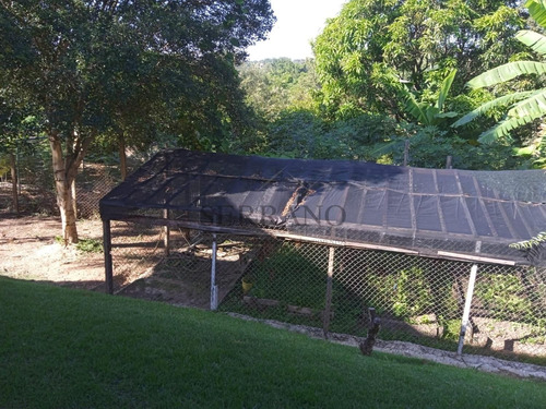 Imagem 9 de 10 de Chácara À Venda Em Chácaras São Bento - Ch002189