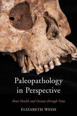 Libro Paleopathology In Perspective : Bone Health And Dis...