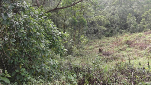 Terreno Em Chácara Recanto Verde, Cotia/sp De 0m² À Venda Por R$ 250.000,00 - Te751436