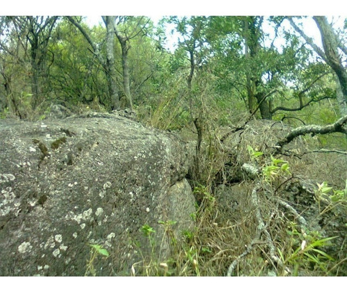 Imagen 4 de 18 de Amplisimo Lote En Prado De La Rivera . Agua De Oro,cordoba!