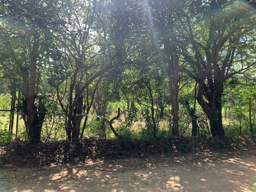 Imagen 4 de 12 de Terreno En Venta Rivera Cupia