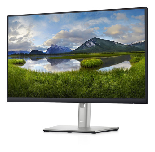 Imagen 2 de 5 de Monitor Dell P Series P2422H LCD TFT 23.8" negro y plateado 100V/240V