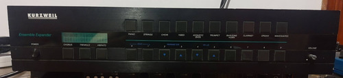 Kurzweil Ensemble Expander