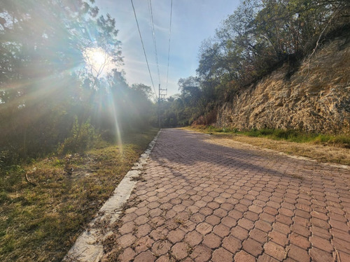 Venta Lote Gladiola 26 En Calle Privada Con Bonitas Vistas, Proyecto Incluído Y Con Todos Los Servicios En Fraccionamiento Rancho San Diego Ixtapan De La Sal Edomex