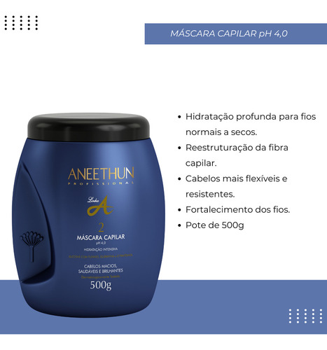 Kit Aneethun Linha A Creme De Silicone 250ml E Máscara 500g