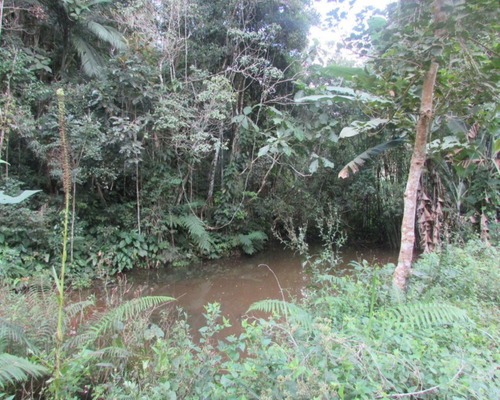 Imagem 5 de 21 de Terreno - 04611 - 33229241
