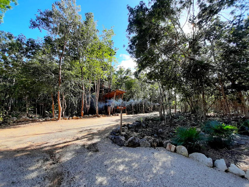 En Venta Lotes Ecológicos En Tulum (237)