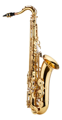 Saxophone Bb Carry Brass Gold Body Saxofon Cepillo De Tela L