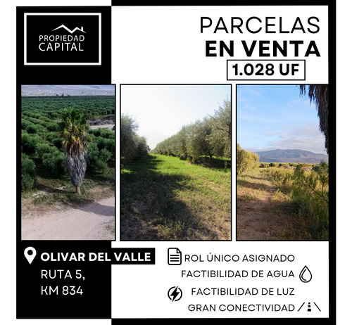 Parcela En Copiapo 01 - Olivar Del Valle 