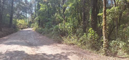 Gran Oportunidad! Terreno De 40 Hectáreas Sobre Carretera A Los Saucos