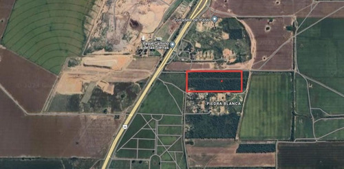 Venta Campo 10 Has Ruta 36 Piedras Blancas Cordoba
