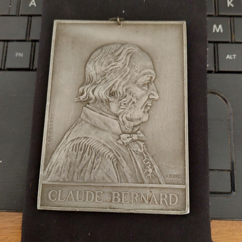 Medalla Claude Bernard A. Borrel 1913 11x8 Cm  - 442