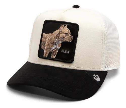 Gorra Goorin Bros The Suede Pitbull Flex