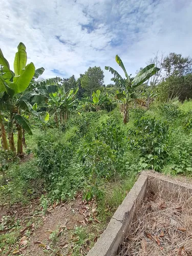 Finca En Restrepo Valle
