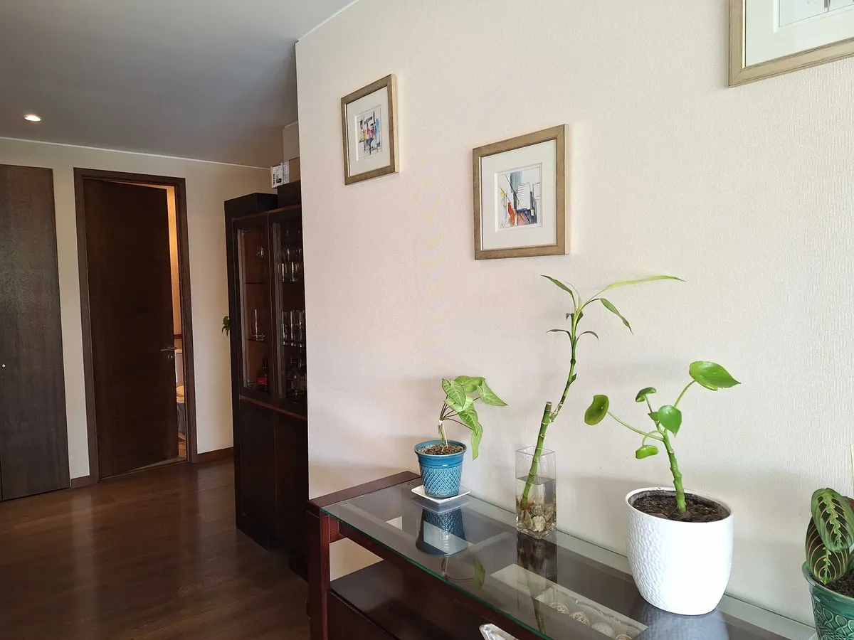 Imagen 3 de 25 de Departamento Amplio Y Lindas Instalaciones (114996)