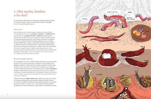 La Vida Amorosa De Los Animales. F. Daugey/desforges. Océano