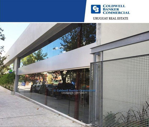 Local Comercial O Oficina - Barrio Sur - Alquiler