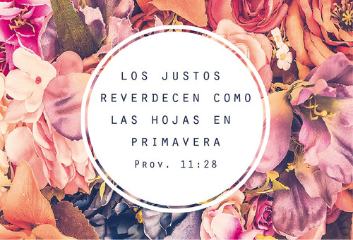 Tarjetas De · Mensajes Cristianos · Packx100 · Flores Color Blanco