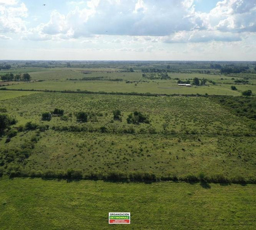 Imagen 8 de 12 de Lotes Rurales De 3,5 Has Cada Una En Ejido Colón