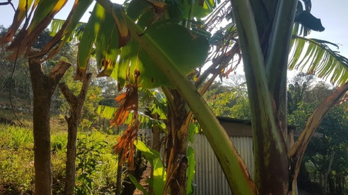 Imagen 1 de 30 de Se Vende Terreno Favorable Con Agua Y Luz Y Casita
