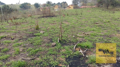 Imagem 12 de 13 de Terreno Em Monte Negro - Santa Isabel - 4041