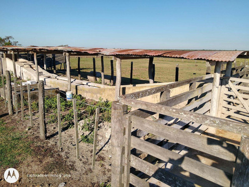 Imagen 14 de 30 de Campo Ganadero 3220 Ha - ( 420 Agrícolas ) Reconquista - Prov. De Santa Fe