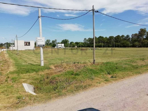 Imagen 20 de 30 de 147 Y 486 Lote En Venta, En Fincas Gorina.-