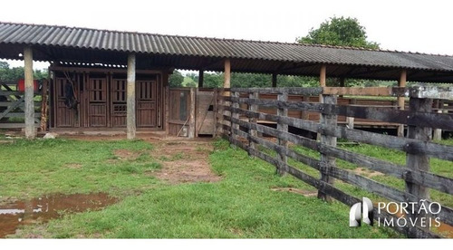 Imagem 7 de 15 de Fazenda À Venda - Zona Rural, Alcinópolis-ms - 5171