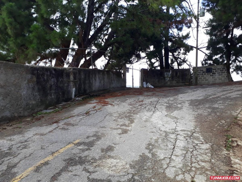 Imagen 4 de 9 de Terrenos En Venta