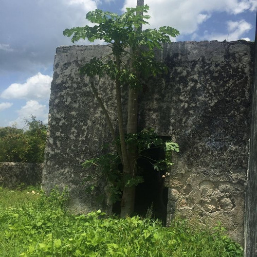 Imagen 15 de 30 de Hacienda En Venta En Campeche