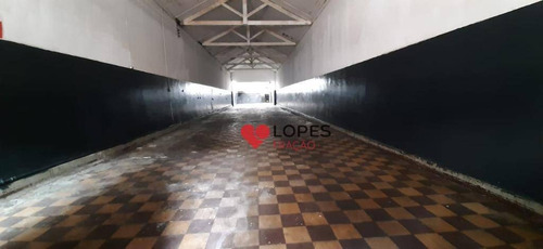 Imagem 1 de 23 de Excelente Terreno Para Alugar, 300 M² Por R$ 8.900/mês - Parque Santa Cecília - São Paulo/sp - Te0101