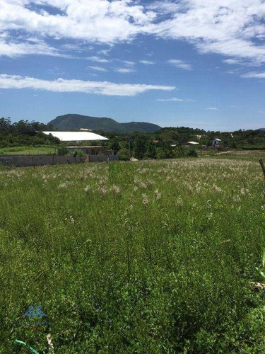 Imagem 3 de 6 de Terreno À Venda, 240 M² Por R$ 125.000,00 - Rio Vermelho - Florianópolis/sc - Te0266