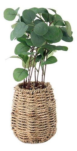 Planta Artificial Con Maceta Escritorio Deco Piedras Pettish