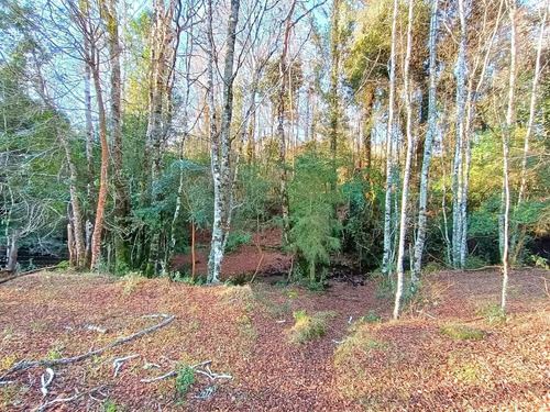 Panguipulli Venta De Lotes Sector Los Tayos