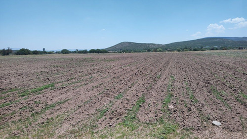 Remato Hermosa Huerta En Venta En Queretaro