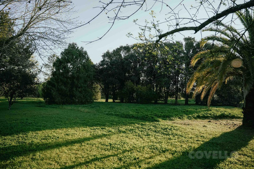 Estancia Con Casco Principal Campo Agrícola 200 Ha En Venta Carmelo Colonia Uruguay