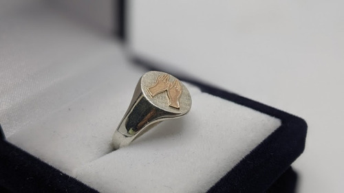 Anillo En Plata 925 Y Oro 9k Profesion Masajista