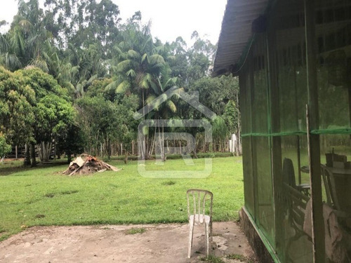 Imagem 21 de 30 de Sitio Com Topografia Plana, Totalmente Limpo, Ótimo Para Plantação Ou Criação De Gados. - 37 - 70344663