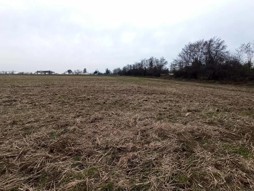 Terreno Agrícola En Venta, Campo De 21 Ha, San Clemente