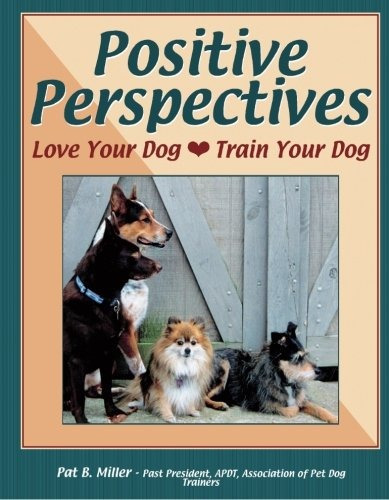 Perspectivas Positivas Aman A Tu Perro Entrena A Tu Perro