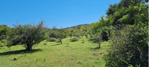 Imagen 23 de 29 de Venta Campo Falda Del Cañete-8,5 Has- Con Vista