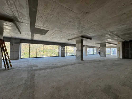 Arriendo De Planta Completa 1123 M2 En Almirante Pastene