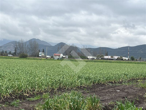 Sitio Industrial En Venta En Llay Llay