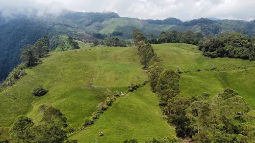 Vendo Permuto Finca Líbano Tolima