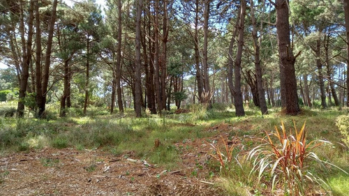 Imagen 13 de 17 de Lote En Venta En La Barra (ref: Atm-6651)