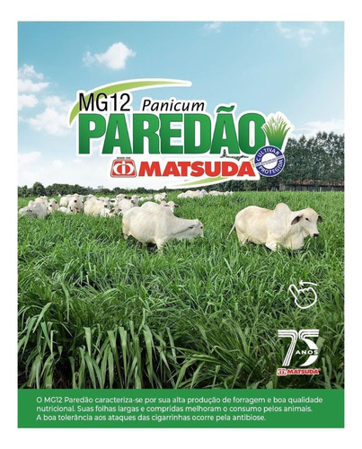 Sementes Incrustadas Mg 12 Paredão Matsuda 10kg